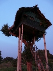treehouse.JPG (103 KB)